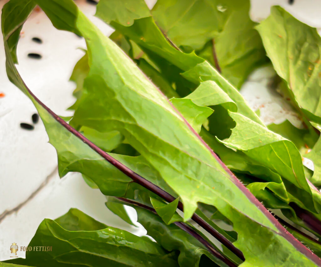 Fresh dandelion greens