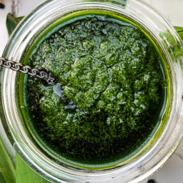 Wild Ramp Herb Puree Close Up