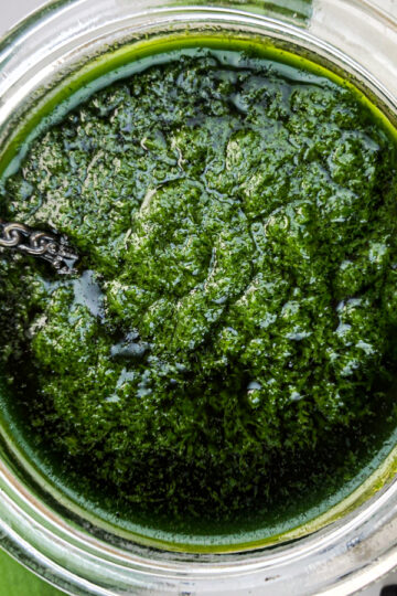 Wild Ramp Herb Puree Close Up